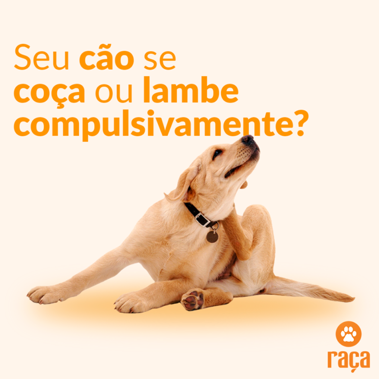 Seu cão se coça ou lambe compulsivamente?