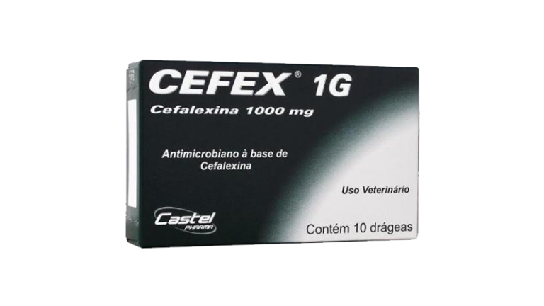 cepav-cefex-1000