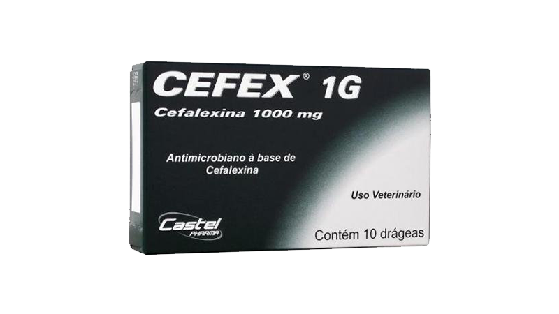 cepav-cefex-1000