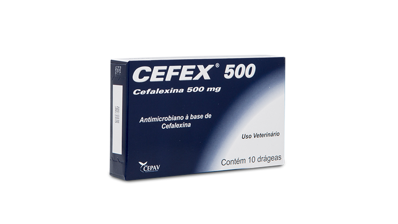 cepav-cefex-500