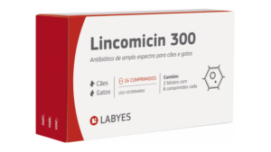labyes-lincomicin-300
