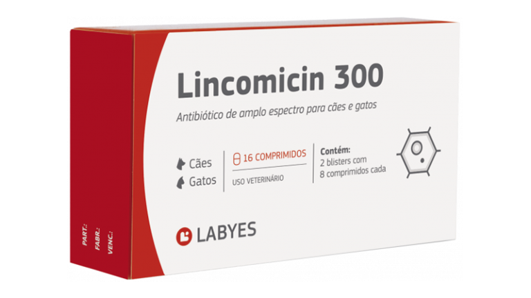 labyes-lincomicin-300
