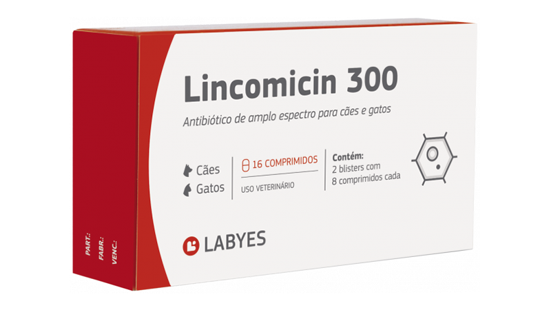 labyes-lincomicin-300