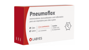 labyes-pneumoflox