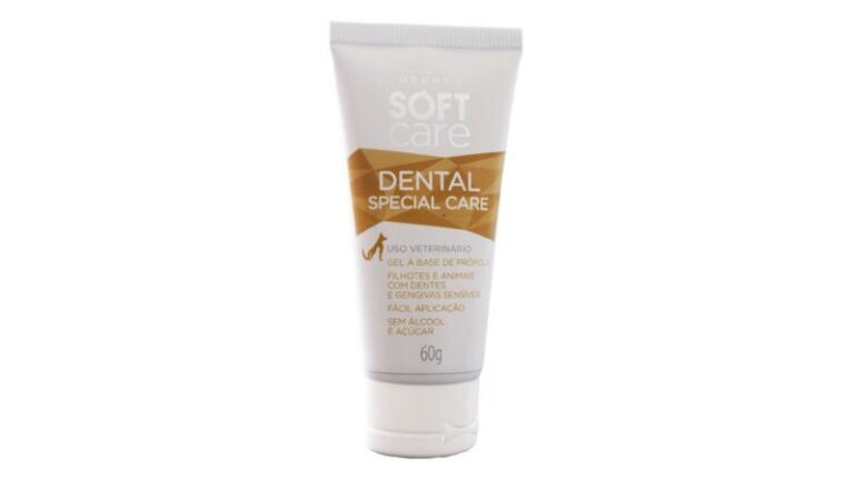soft care dental special care