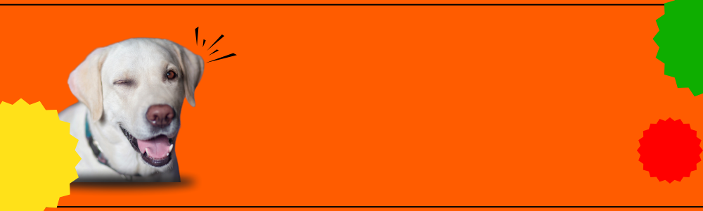 page-header
