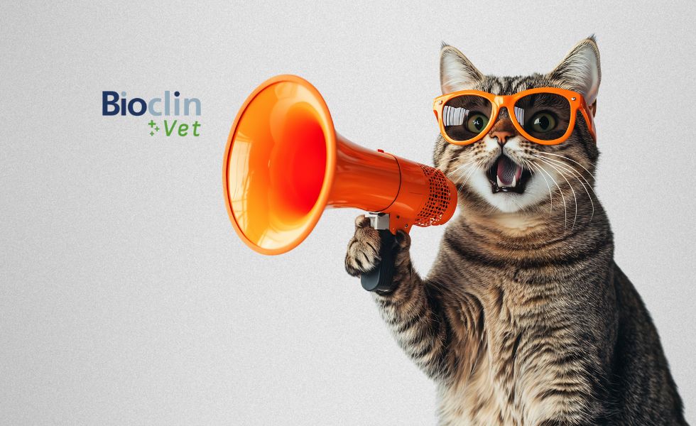 CHEGOU O TIPAGEM SANGUÍNEA FELINA VET FAST!