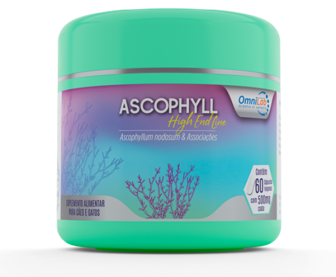 ASCOPHYLL
